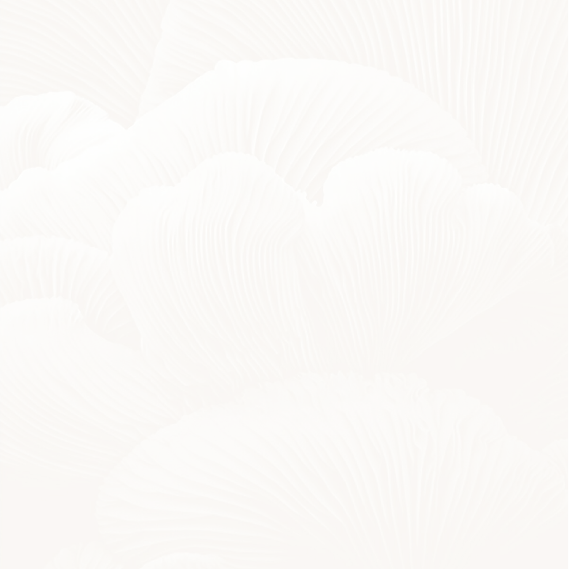 concept bg
