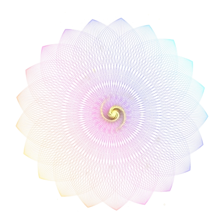 Shape
